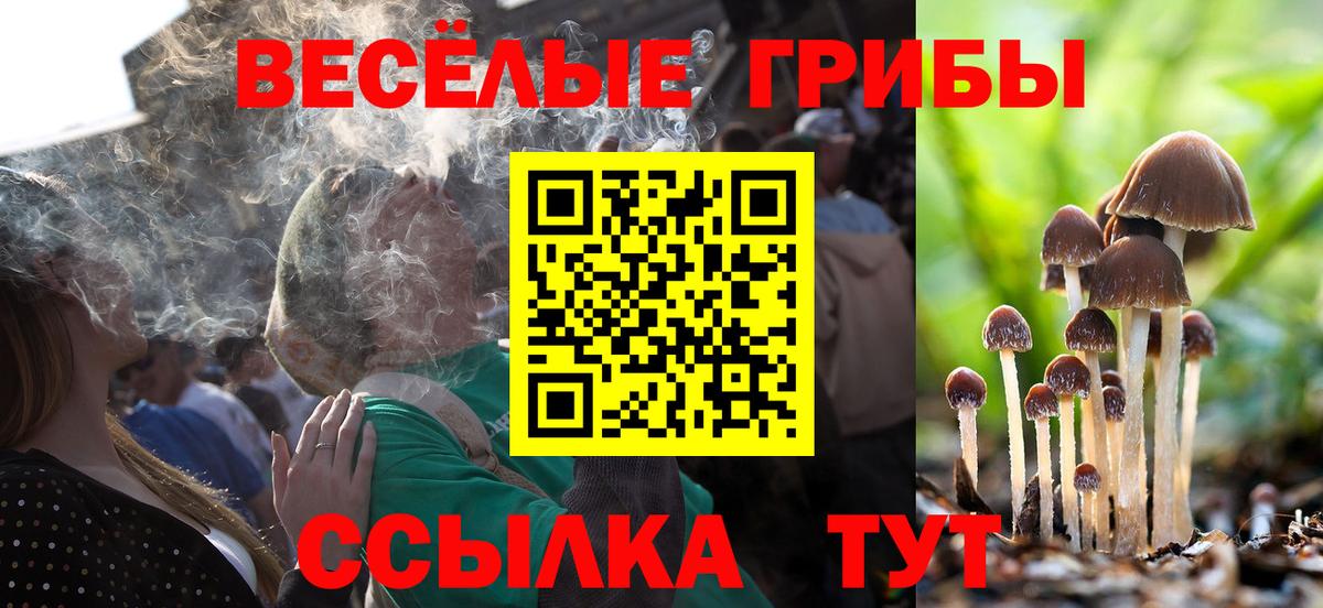 Псилоцибиновые грибы мухоморы  Вход с VPN  Ливны 