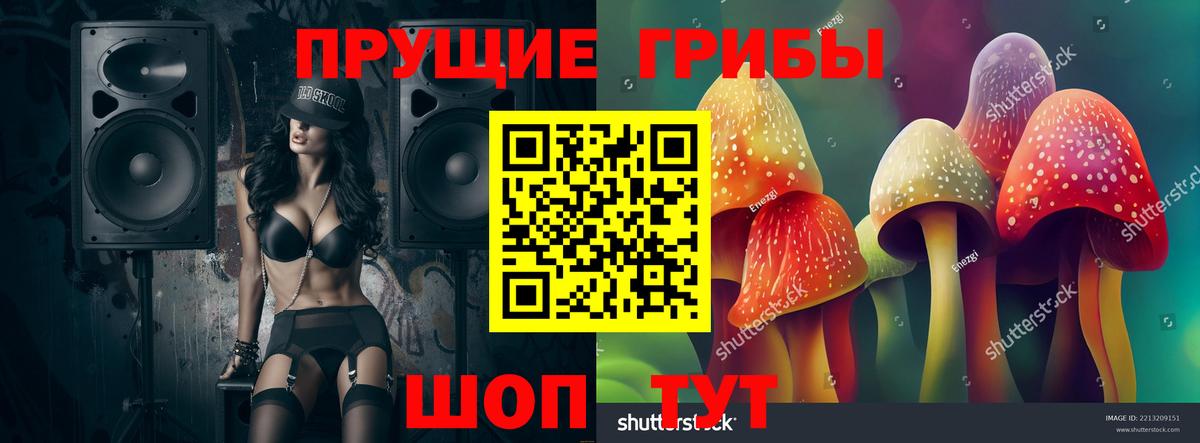 Галлюциногенные грибы прущие грибы Ливны
